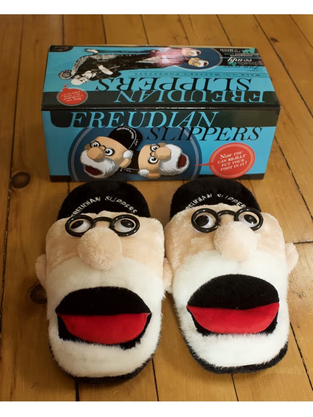 Freudian SLIPPERS